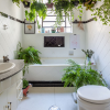 Decore o banheiro com plantas!